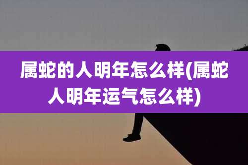 属蛇的人明年怎么样(属蛇人明年运气怎么样)