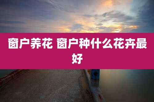 窗户养花 窗户种什么花卉最好