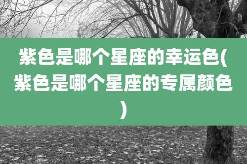 紫色是哪个星座的幸运色(紫色是哪个星座的专属颜色)