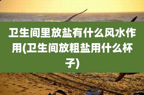 卫生间里放盐有什么风水作用(卫生间放粗盐用什么杯子)