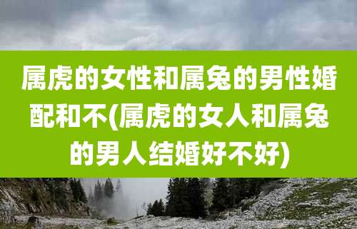属虎的女性和属兔的男性婚配和不(属虎的女人和属兔的男人结婚好不好)