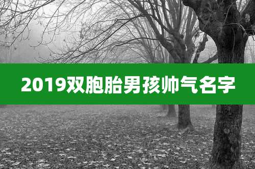 2019双胞胎男孩帅气名字
