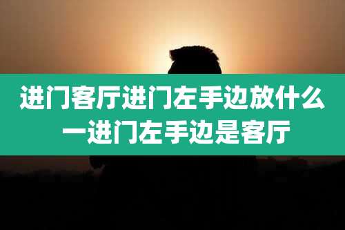 进门客厅进门左手边放什么 一进门左手边是客厅
