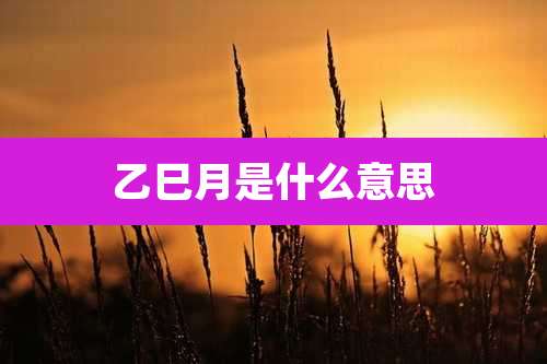 乙巳月是什么意思