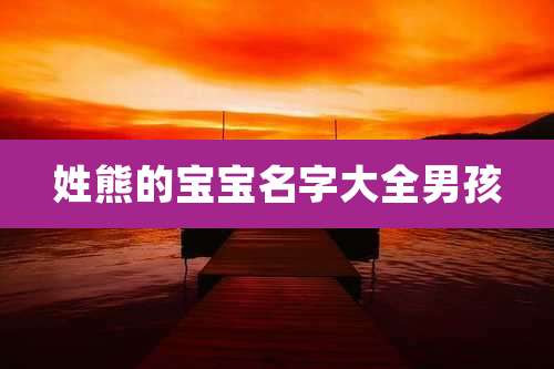 姓熊的宝宝名字大全男孩