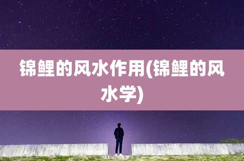 锦鲤的风水作用(锦鲤的风水学)