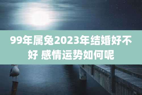 99年属兔2023年结婚好不好 感情运势如何呢