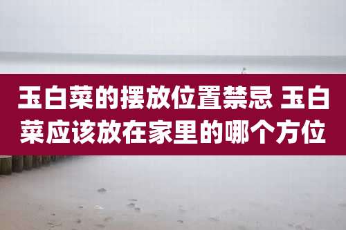 玉白菜的摆放位置禁忌 玉白菜应该放在家里的哪个方位