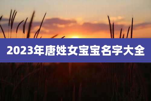2023年唐姓女宝宝名字大全