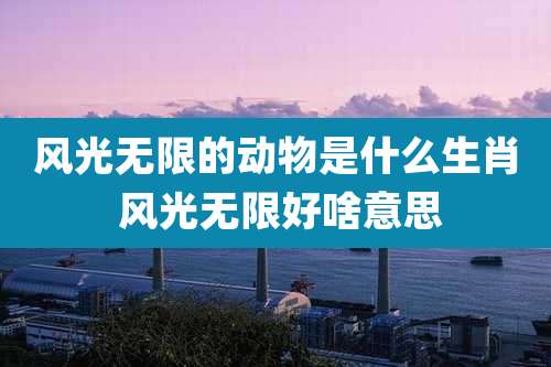 风光无限的动物是什么生肖 风光无限好啥意思