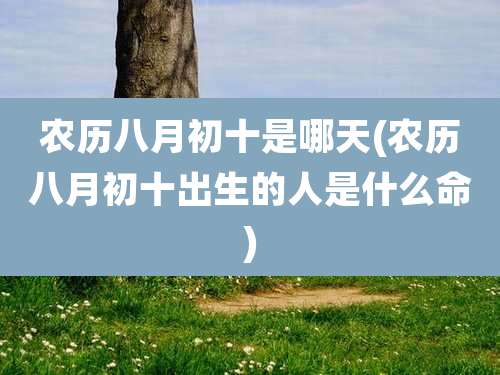 农历八月初十是哪天(农历八月初十出生的人是什么命)