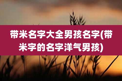 带米名字大全男孩名字(带米字的名字洋气男孩)