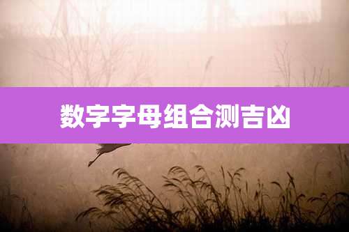数字字母组合测吉凶