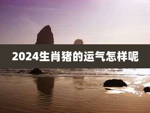 2024生肖猪的运气怎样呢