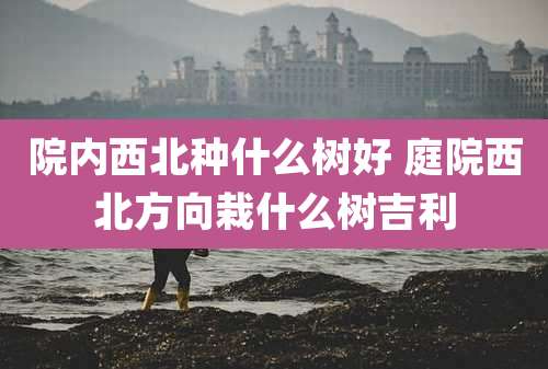 院内西北种什么树好 庭院西北方向栽什么树吉利