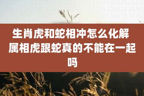 生肖虎和蛇相冲怎么化解 属相虎跟蛇真的不能在一起吗