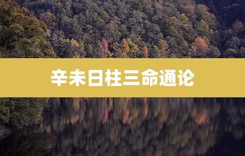 辛未日柱三命通论