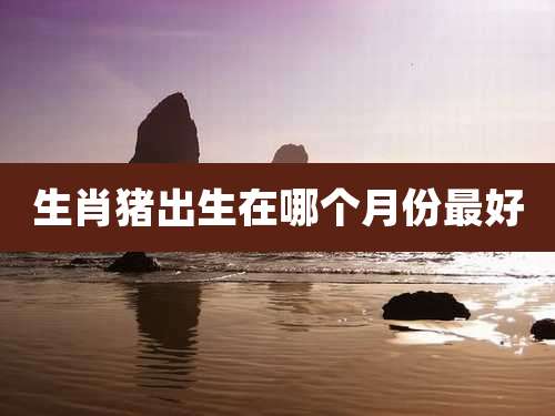 生肖猪出生在哪个月份最好