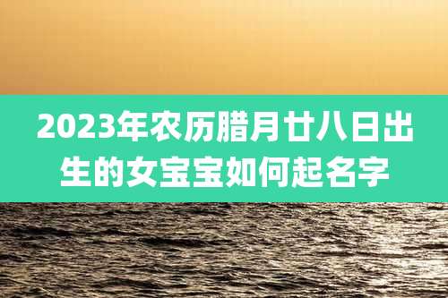 2023年农历腊月廿八日出生的女宝宝如何起名字