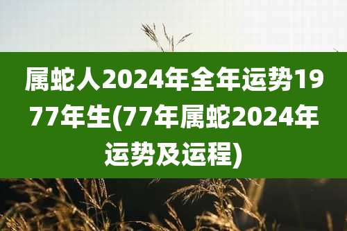 属蛇人2024年全年运势1977年生(77年属蛇2024年运势及运程)