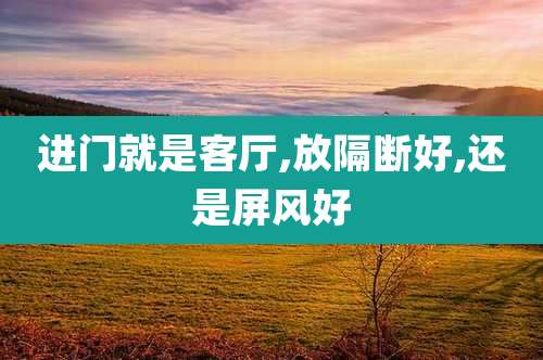 进门就是客厅,放隔断好,还是屏风好