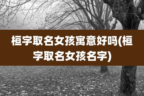 桓字取名女孩寓意好吗(桓字取名女孩名字)