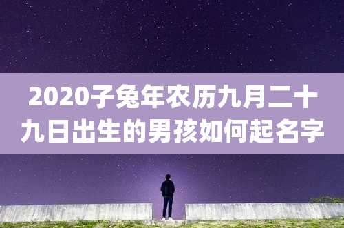 2020子兔年农历九月二十九日出生的男孩如何起名字