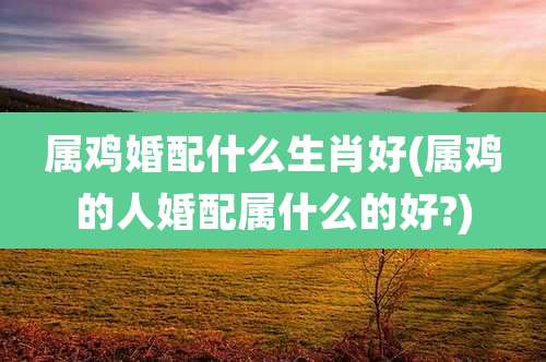 属鸡婚配什么生肖好(属鸡的人婚配属什么的好?)