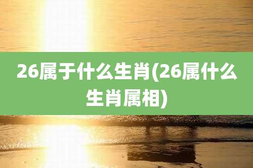 26属于什么生肖(26属什么生肖属相)