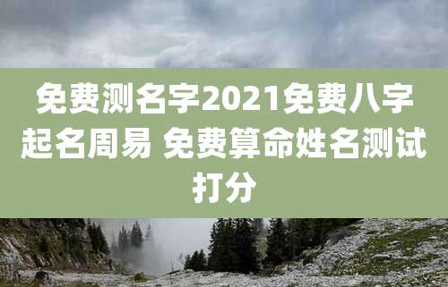 免费测名字2021免费八字起名周易 免费算命姓名测试打分