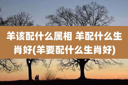 羊该配什么属相 羊配什么生肖好(羊要配什么生肖好)