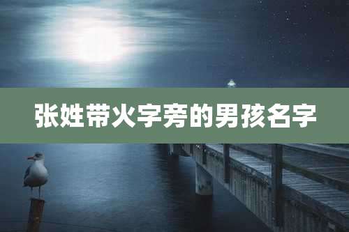 张姓带火字旁的男孩名字