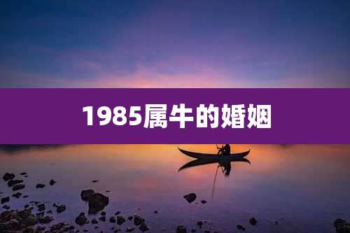 1985属牛的婚姻