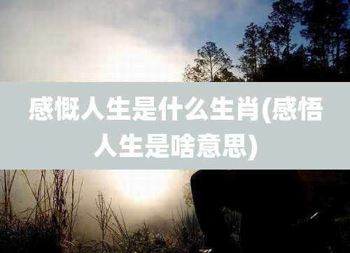 感慨人生是什么生肖(感悟人生是啥意思)