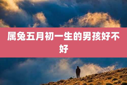 属兔五月初一生的男孩好不好