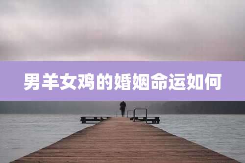 男羊女鸡的婚姻命运如何