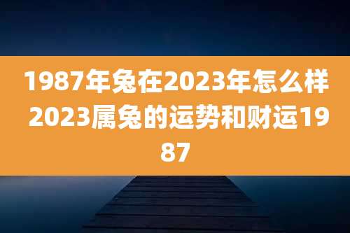 1987年兔在2023年怎么样 2023属兔的运势和财运1987