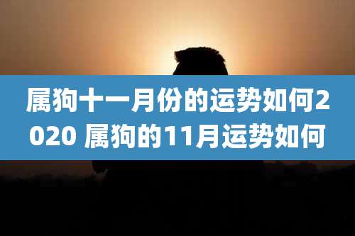 属狗十一月份的运势如何2020 属狗的11月运势如何