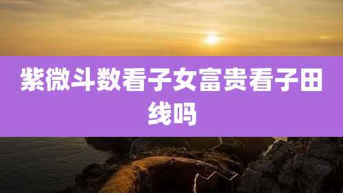 紫微斗数看子女富贵看子田线吗