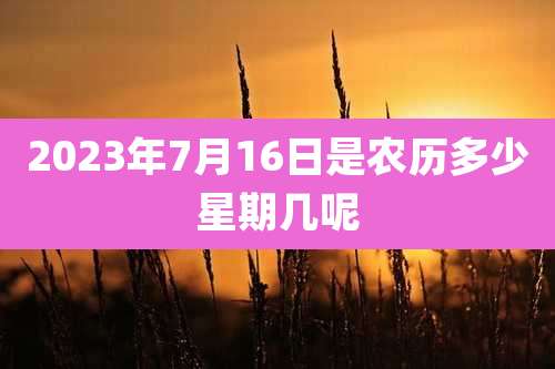 2023年7月16日是农历多少星期几呢