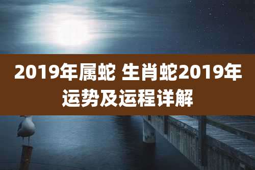 2019年属蛇 生肖蛇2019年运势及运程详解