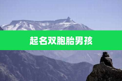 起名双胞胎男孩
