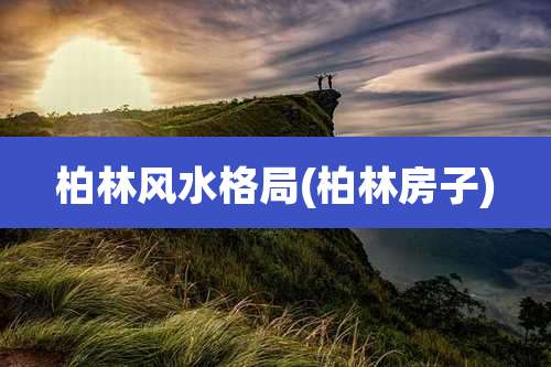 柏林风水格局(柏林房子)