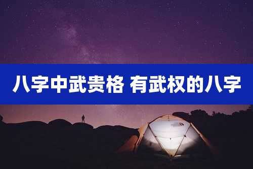 八字中武贵格 有武权的八字