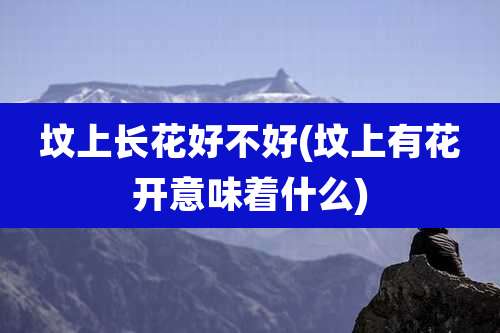 坟上长花好不好(坟上有花开意味着什么)