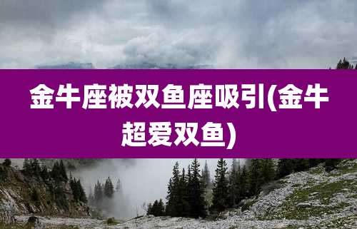 金牛座被双鱼座吸引(金牛超爱双鱼)