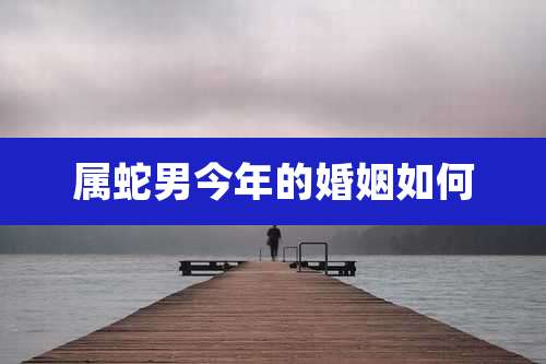 属蛇男今年的婚姻如何