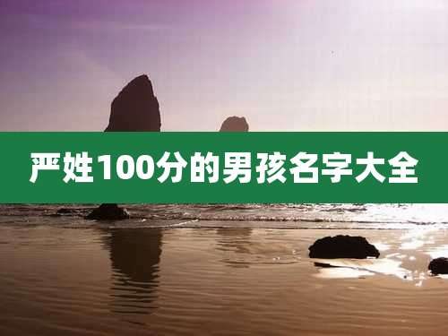 严姓100分的男孩名字大全