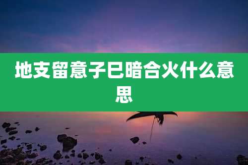 地支留意子巳暗合火什么意思