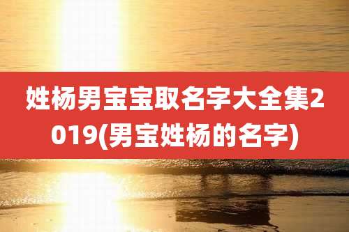 姓杨男宝宝取名字大全集2019(男宝姓杨的名字)